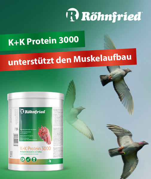 ك+ك بروتين K+K Protein 3000