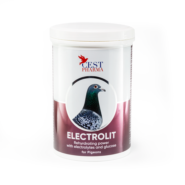 ELECTROLIT 600g