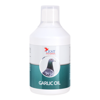 GARLIC OIL 250/ml