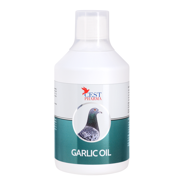 GARLIC OIL 250/ml