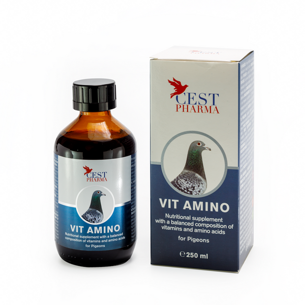 VIT AMINO 250ml