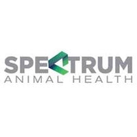 Spectrum Gold 1 litre - سبكتروم جولد 1 لتر