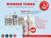 Wonder Turbo