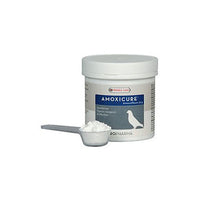 Amoxicure