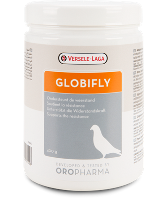 GLOBIFLY 400 g  مكمل غذائي يدعم المقاومة