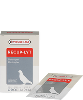 RECUP-LYT 240 g الإلكتروليتات