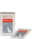 RECUP-LYT 240 g الإلكتروليتات