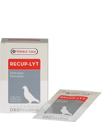 RECUP-LYT 240 g الإلكتروليتات