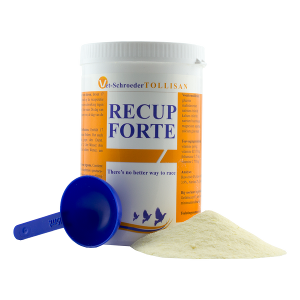 Recup-Forte 300 ml