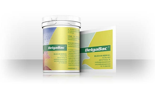 BelgaBac 300g بيلجاباك العبوة