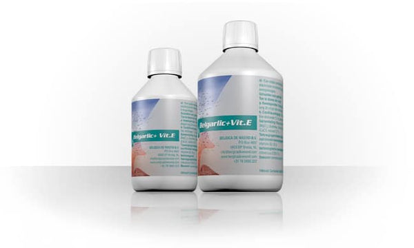 Belgarlic + Vit. E  250ML زيت الثوم عالي الجودة