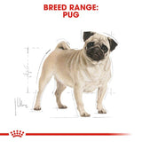 Pug Adult 1.5 Kg