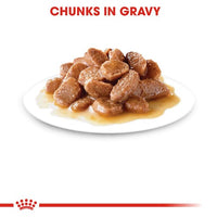 Intense Beauty Gravy 12x85g