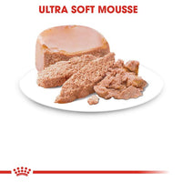 Mother and Babycat Ultra Soft Mousse 12x195g