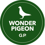 New Wonder Pigeon GP (Green Power) 500gوندر جي بي