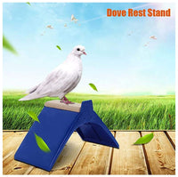 Plastic Rest Frame Racing Pigeons وقفات للحمام من البلاستك الأزرق