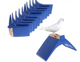 Plastic Rest Frame Racing Pigeons وقفات للحمام من البلاستك الأزرق