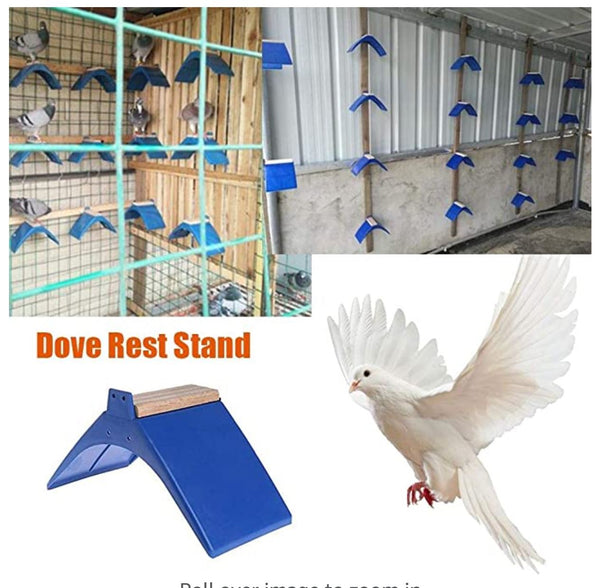 Plastic Rest Frame Racing Pigeons وقفات للحمام من البلاستك الأزرق