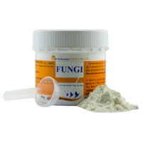 Fungi Powder  100 g مسحوق الفطريات