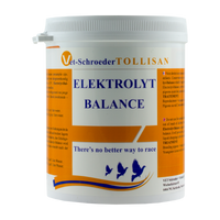 Electrolyte balance 500 g توازن الإلكتروليت